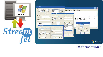 Variable Information Print Software