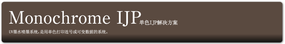 Monochrome IJP