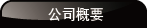 公司简介